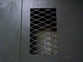 riding the very fast passenger & very slow freight elevators at robert lee moore hall.

passenger elevator specs:
general-otis/gearless traction.
performance-3500 lbs/10 hp.
distance-260 feet/19 floors & 500 fpm.
year-modernized/2001.

freight elevator specs:
general-otis/geared traction.
performance-10000 lbs/20 hp.
distance-260 feet/19 floors & 150 fpm.
year-modernized/2001.
