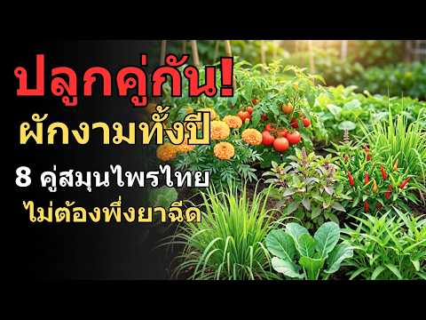 จับคู่ 8 สมุนไพรไทยแบบโบราณ ไม่ต้องพึ่งยาฉีดอีกเลย