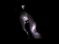 VNV Nation - Further