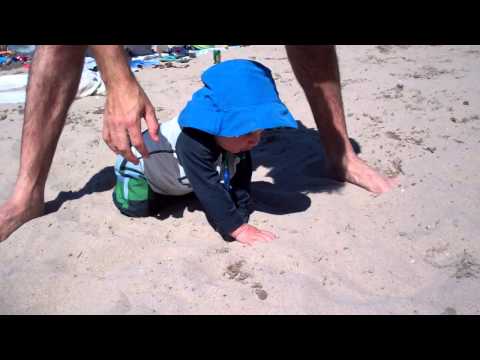 tombola bingo tombola bingo