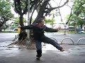 Mr. HE Jing-han showing a section of ba qua form