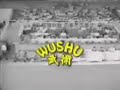 Wushu Compilation