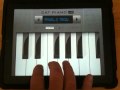iPad Cat Piano!