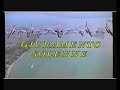 23 settembre 1995 giuramento solenne a taranto corso vam 268.aeronautica militare,con anna falchi!,dave,bomb,