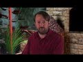 Ready To Order | David Mitchell's Soapbox