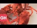 How to Boil and Shell a Lobster