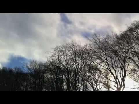 Winter Song (Danish Cover & Pictures)