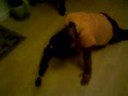 ........\"Streching\".......