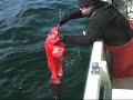 Sitka Fishing