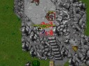 Tibia Solo Wyvern