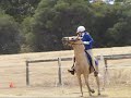 Peppy the great alrounder..wmv Peppy the great alrounder..wmv