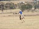 videos de Peppy the great alrounder..wmv