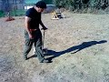 Lander does Obedience