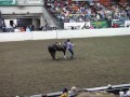 Clinton Anderson, Equine Affaire, 11-15-2008