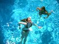 Get Out Of My Pool Ashely!