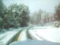 March First Snow Fall in SC