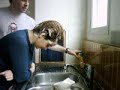 Le hampoing de Zo� dans sa cuisine