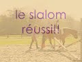 mira longues renes mira longues renes