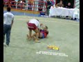 lucha canaria