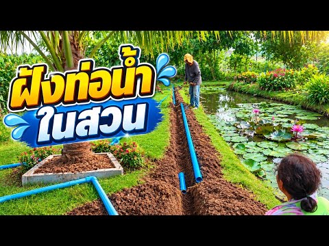 ฝังท่อน้ำในสวน บ้านสวนน้องโปเต้