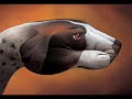 Hand Art - It\