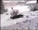 biarritz under snow