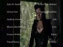 dg-found-them-tin-man-mv.html