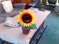 sunshine sunflower