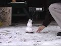 My snowman launcher My snowman launcher