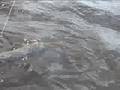 46 Musky - July 2006 Released