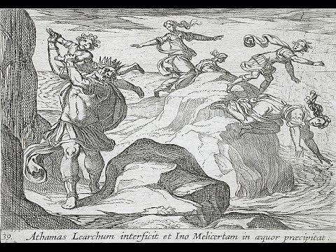 Marxist hunter - Watch Socialist Paradise Central Planning In Action: Venezuela Looting Edition http://www.zerohedge.com/news/2013-11-13/watch-socialist-paradise-central-plan...