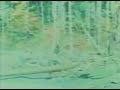 Bigfoot - Mitch Hedberg