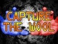 Minecraft: Capture The Wool w/Mitch & Friends - Classic Fields of Glory