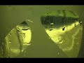 my first video ever!