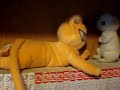 V�deo My manga/ anime/ ps2/ etc. collection (small)