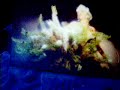 teledysk, klip, Gwen Stefani,- Danger Zone