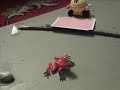 Lucky The Frog-Building A House