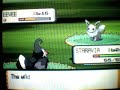 Shiny Eevee Encounter With Pokeradar (First one of the 11) Shiny Eevee Encounter With Pokeradar (First one of the 11)