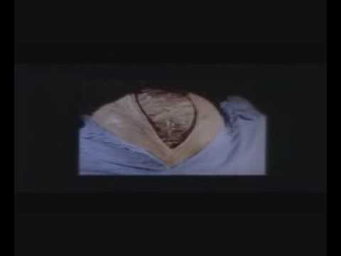 Bibi Besch