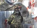 Paint Ball Trivia