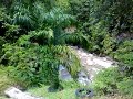 The Power of Releasing Retreat at Magick River