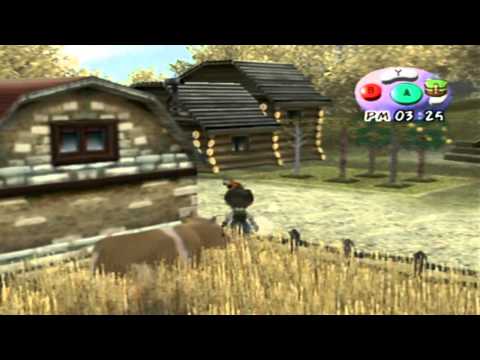 how to equip wonderfuls harvest moon