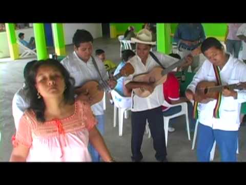 See video See video