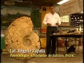 El Sabinosaurio, un gigante inmortal
