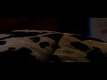 DIY Dolly - Panasonic HVX200 camera Test P2 HD