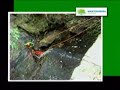 Mantiqueira Ecoturismo Mantiqueira Ecoturismo