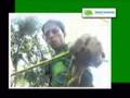 Mantiqueira Ecoturismo