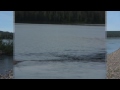 Judd Lake Alaska Sockeye Salmon Fishing Judd Lake Alaska Sockeye Salmon Fishing