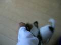 videos de 詩々実ちゃん 095