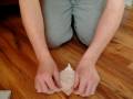 Origami Crocodile (talk Thru) Paper Folding